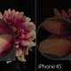 Illustration for article titled iPhone 5 Camera Battle: Is It the Best Smartphone Shooter?